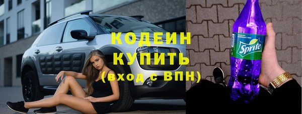 ГАЛЛЮЦИНОГЕННЫЕ ГРИБЫ Каменка
