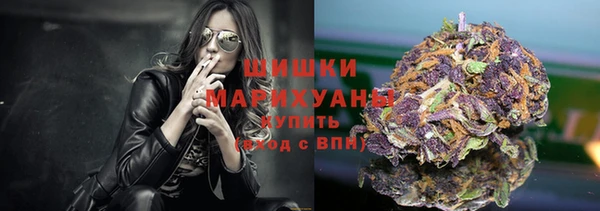 ГАЛЛЮЦИНОГЕННЫЕ ГРИБЫ Каменка