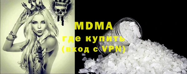 прущие грибы Переславль-Залесский