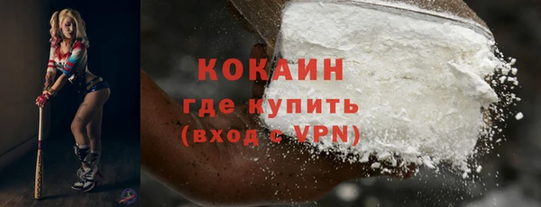 ГАЛЛЮЦИНОГЕННЫЕ ГРИБЫ Каменка