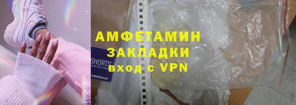 прущие грибы Переславль-Залесский