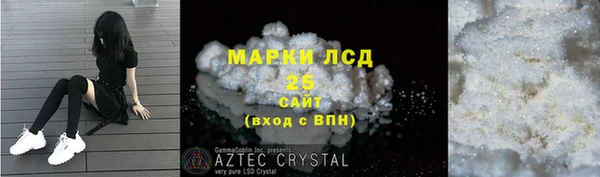 молекула духа Каменск-Шахтинский