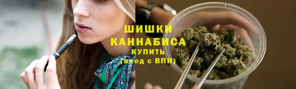 ГАЛЛЮЦИНОГЕННЫЕ ГРИБЫ Каменка