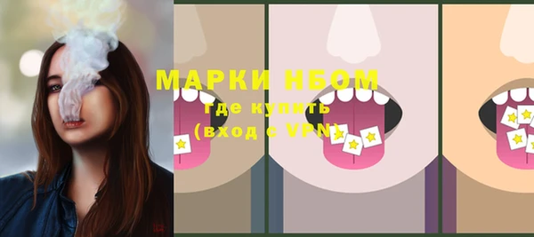 молекула духа Каменск-Шахтинский