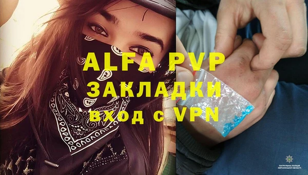 ГАЛЛЮЦИНОГЕННЫЕ ГРИБЫ Каменка