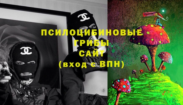 молекула духа Каменск-Шахтинский