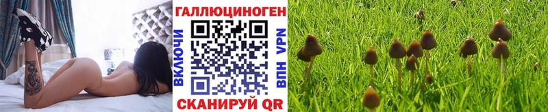 Галлюциногенные грибы Cubensis  Купить где  Борисоглебск 